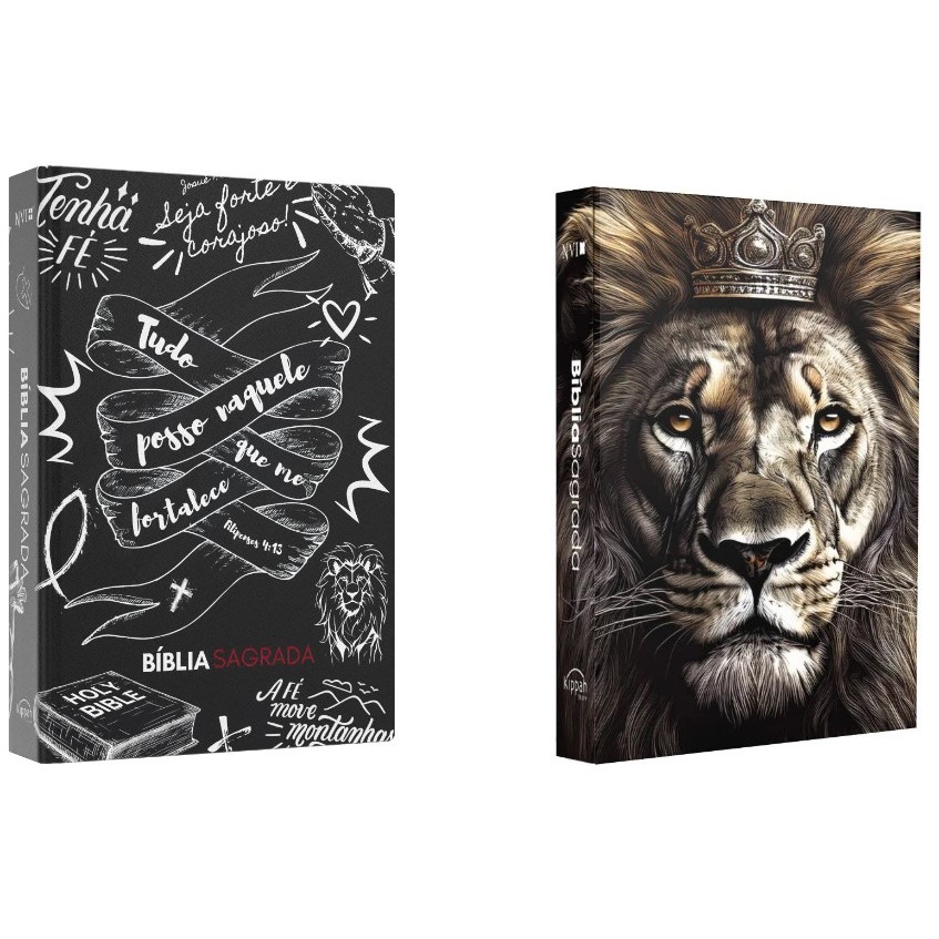 Kit Bíblia Sagrada | NVI | Jovem Cristão + Bíblia Sagrada | NVI | Leão Judá em Oferta na Shopee