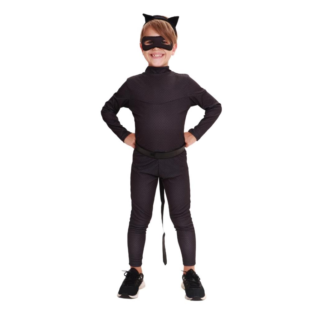 Fantasia Cat Noir - Miraculous!