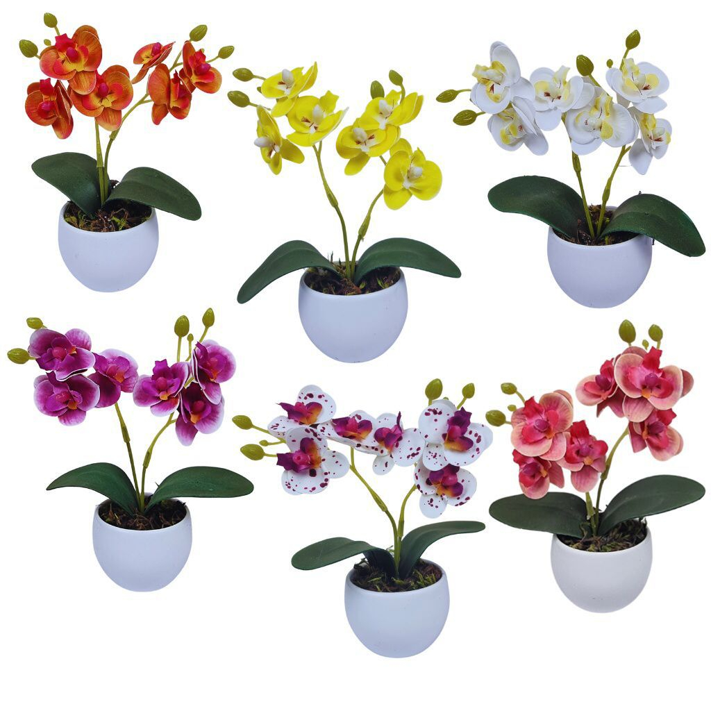 Arranjo Mini Orquídea Com Vaso De Musgo Arranjo Completo Decorativo Premium