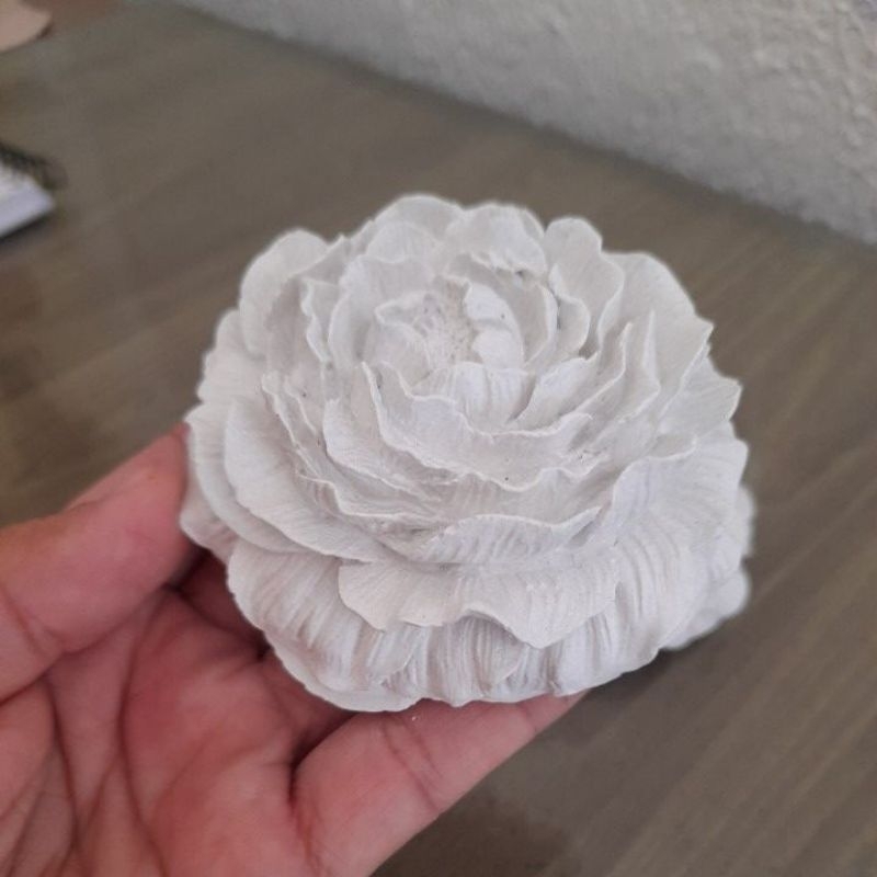 FLOR PEONIA EM GESSO CRU em Oferta na Shopee