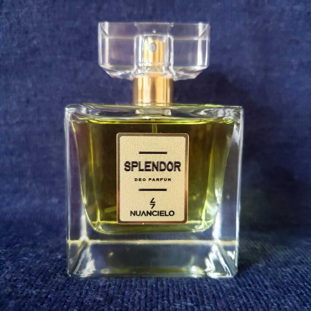 Splendor Perfume: Onde Comprar | BuscaProdutos