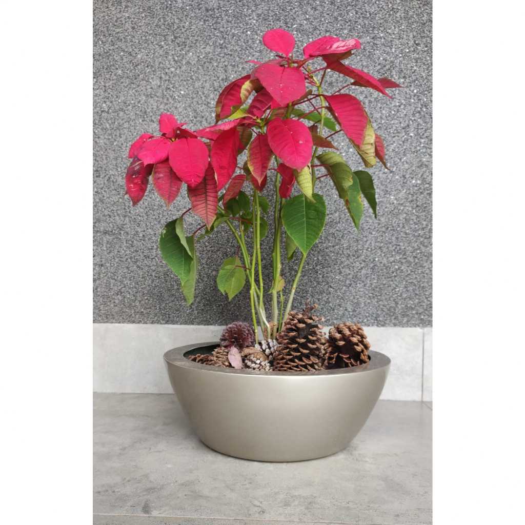 Bacia Vaso Fibra De Vidro Decoração Luxo Estilo Vietnamita P