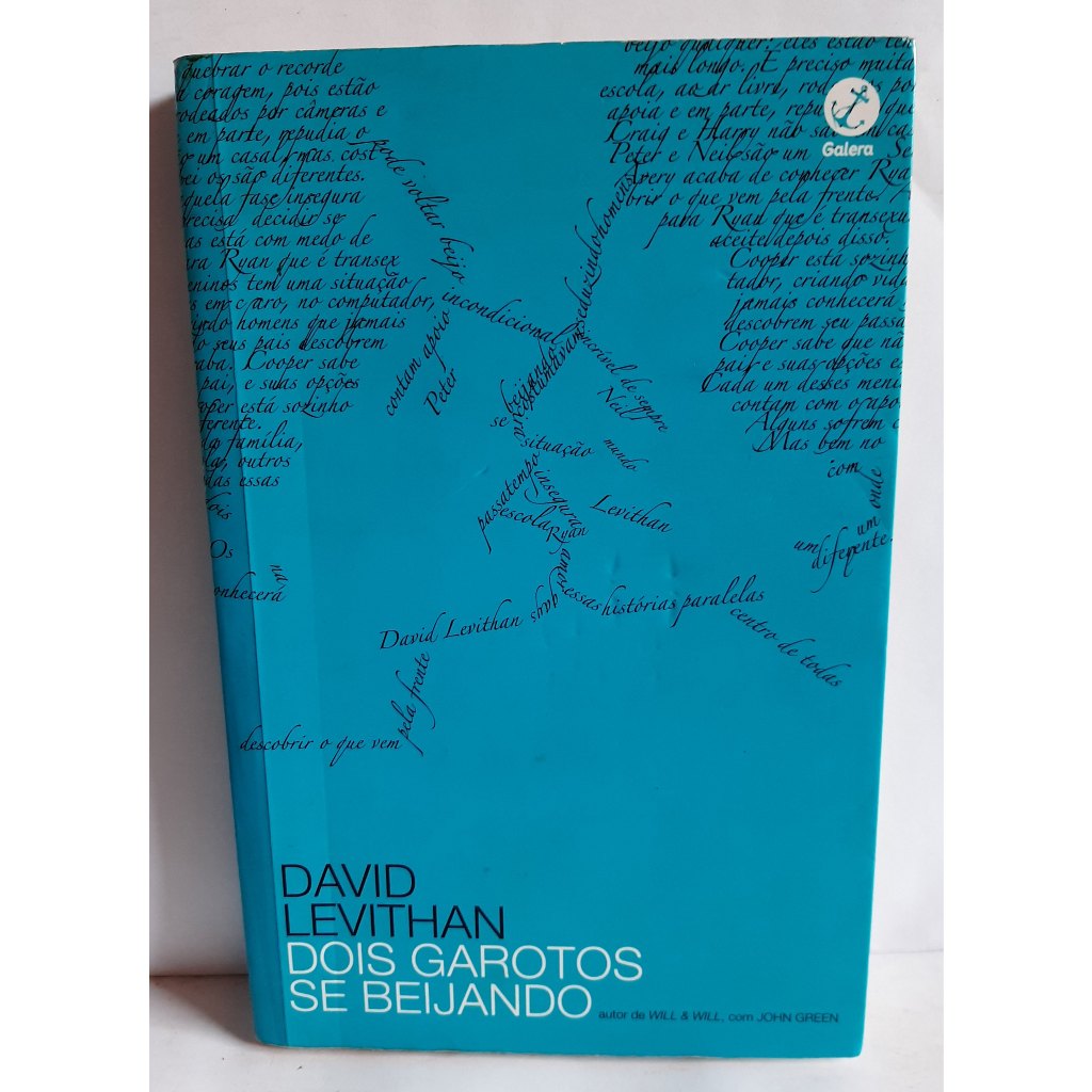 Livro Dois Garotos se Beijando / David Levithan