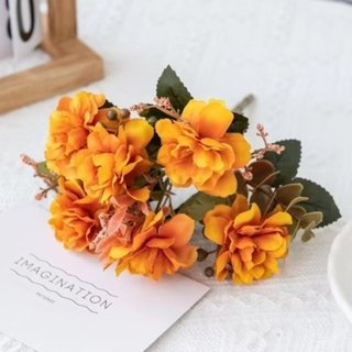 Buque de mine camelia com 5 unidades em Oferta na Shopee