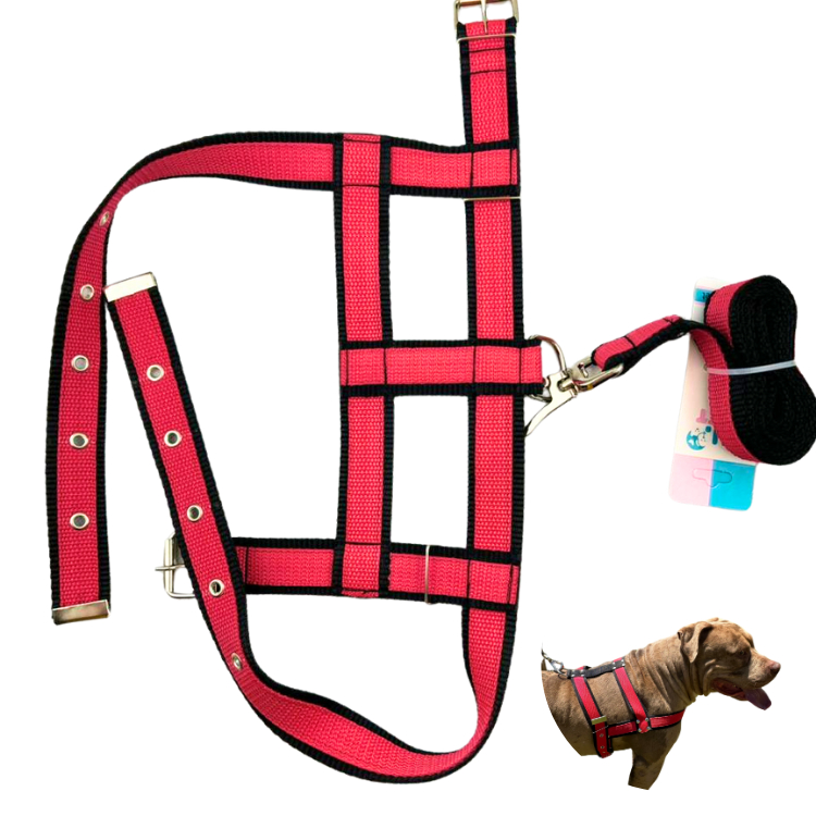 Coleira Peitoral com Guia Adaptador para Doberman e Pit Bull: Controle e Conforto para Cães de Grande Porte
