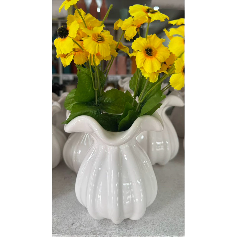 "Vaso Cachepot em Cerâmica: 75% OFF! 🌿"