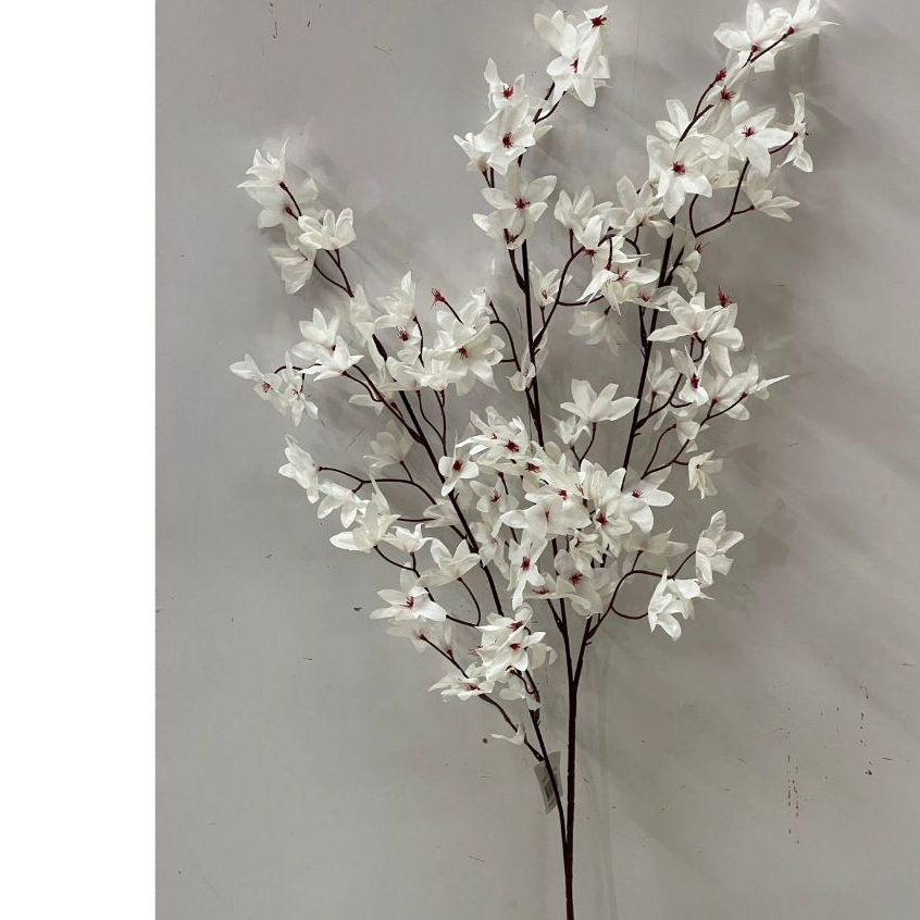 Magnólia Kobus ( CC340 e 382 ) em Oferta na Shopee