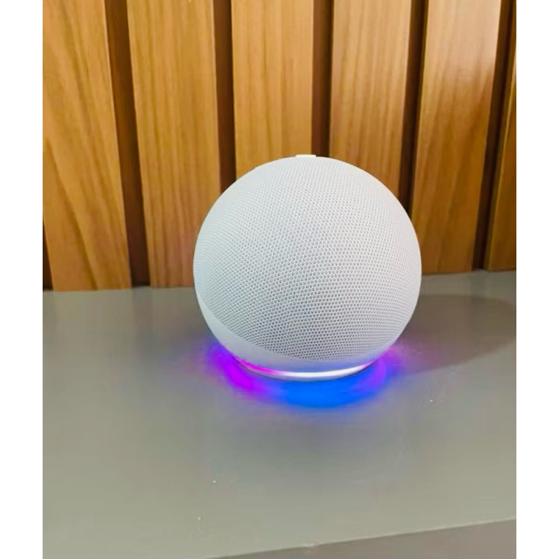 Alexa em Oferta Shopee 2025