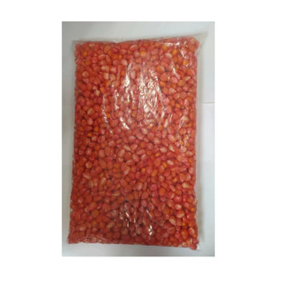 Semente Milho de Planta 1kg Transgênico