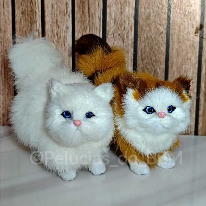 Gato gatinho - pequeno - Decoração - importado - olhos azuis