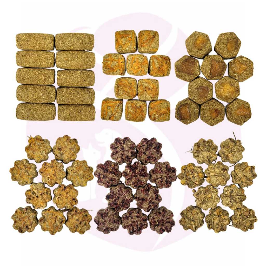 Kit Com 6 Biscoito De Feno Saborizado Para Roedores (Coelhos, Porquinho da Índia, Chinchila..) em Oferta na Shopee