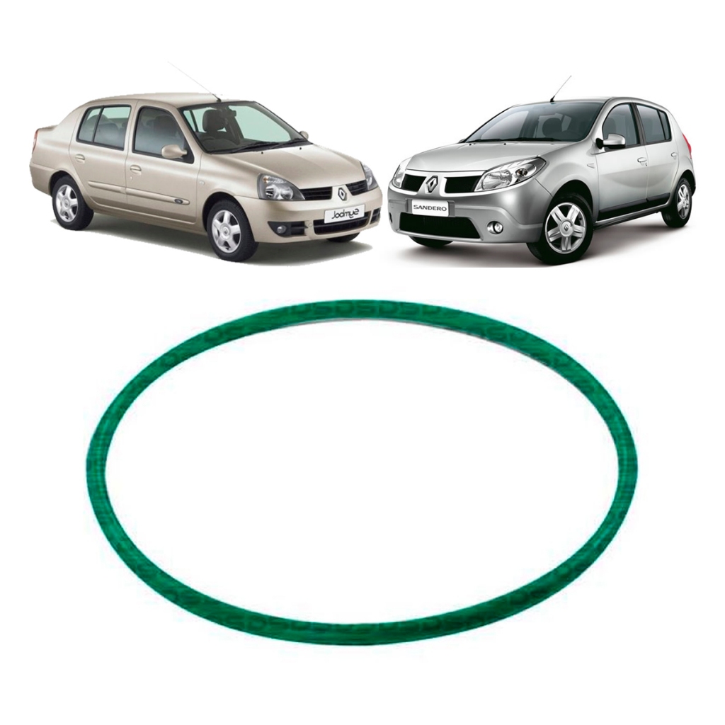 Anel Guarnição Flange Combustível Renault Scenic Symbol Sandero 1.0 1.6 Flex DS1462