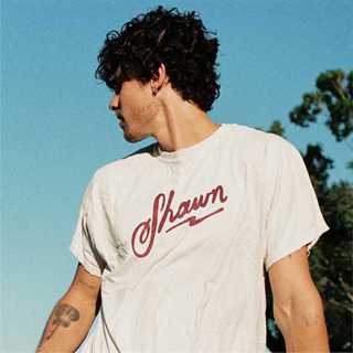 Camiseta Shawn Mendes | Shawn | For Friends and Family [tamanho tradicional e plus size] em Oferta na Shopee