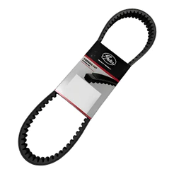 Correia Lead 110 Serve Suzuki Burgman 125 2006 a 2010 Gates