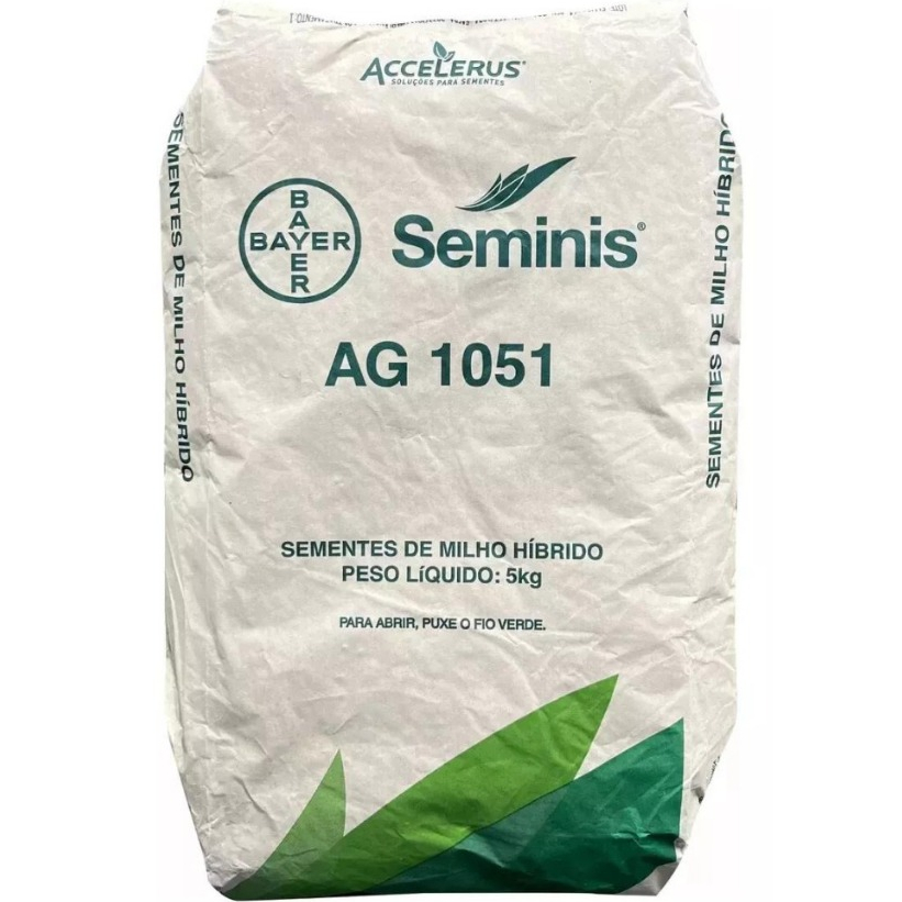 Sementes de Milho Hibrido Ag 1051 5kg Seminis Grãos Doce São João Pamonha Curau Bolo