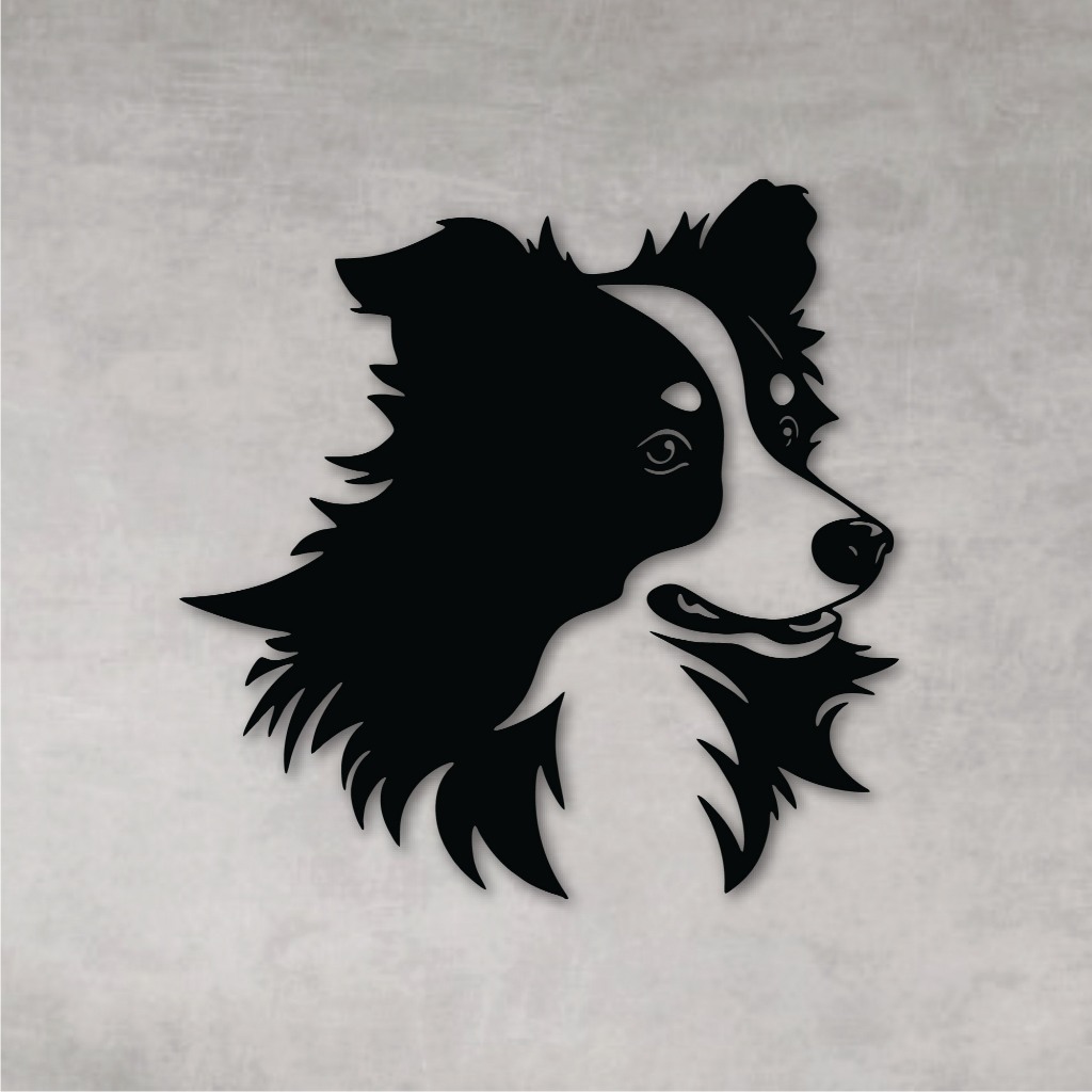 Border Collie Preto: Onde Comprar | BuscaProdutos