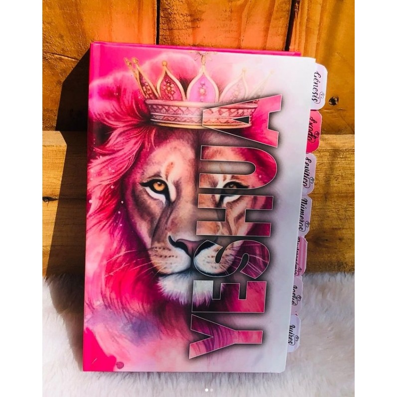 BIBLIA LEÃO DE JUDÁ COM HARPA CRISTÃ - VERSÃO JOÃO FERREIRA DE ALMEIDA em Oferta na Shopee