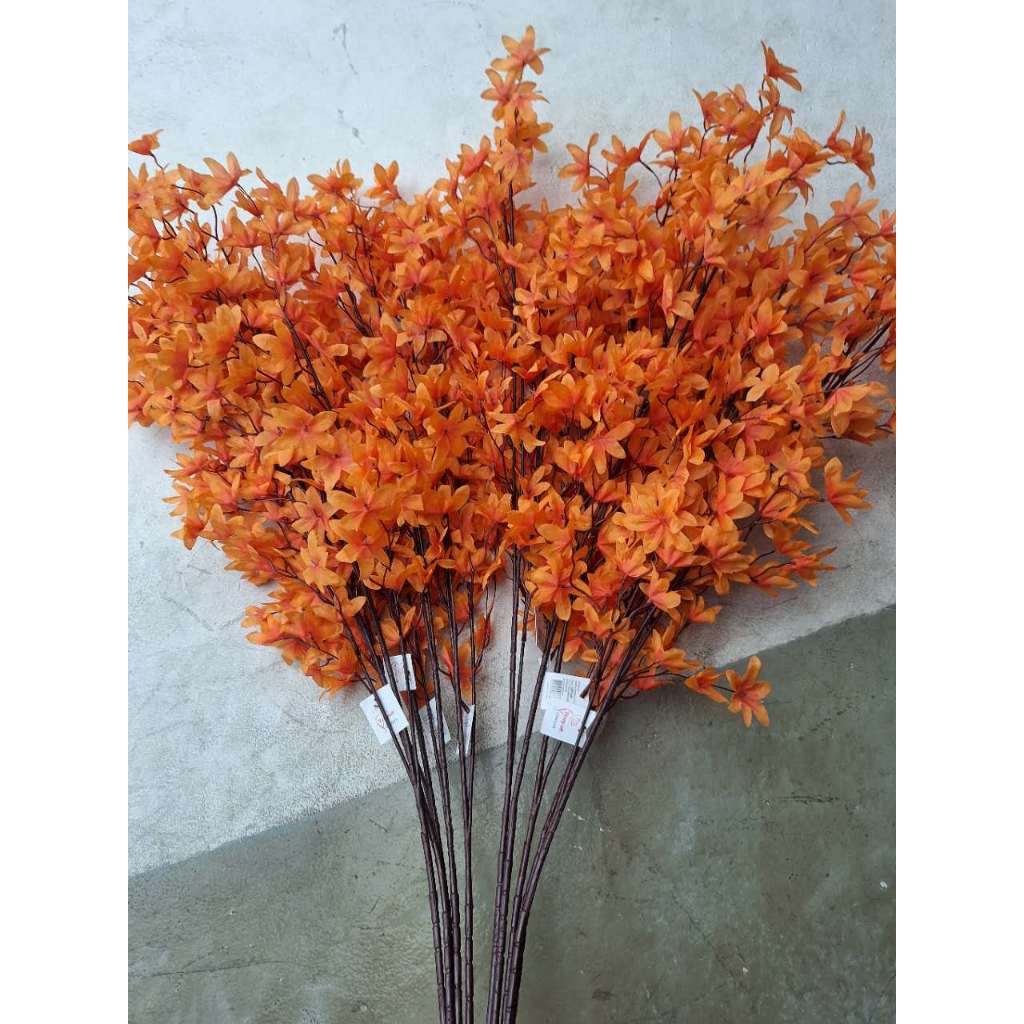 Pessegueiro em Oferta na Shopee