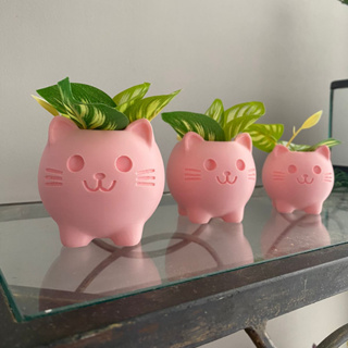 Vasos Pink Cat Decoração Para Sua Casa - Kit com 3 - Rosa em Oferta na Shopee