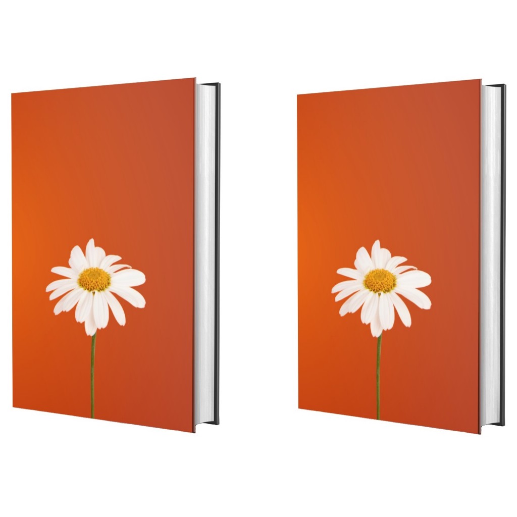 Kit Bíblia Sagrada | NVI | Flor Branca | Capa Dura | 2 Unidades em Oferta na Shopee