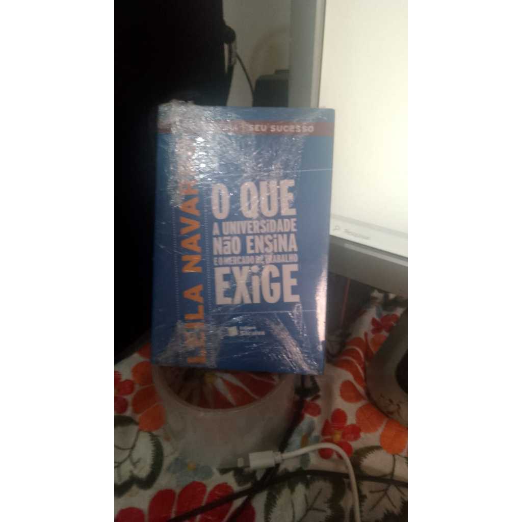 Pacote com dois livros  O auto emprego  e O que a universidade ensina Leila Navarro