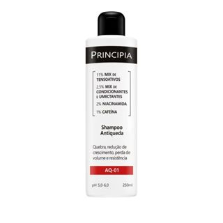 Shampoo Antiqueda Principa AQ-01 Com 250ml em Oferta na Shopee