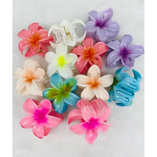 Pacote Com 3-6-12 Piranhas De Cabelo Flor Moda - Super Versatil e Elegante em Oferta na Shopee