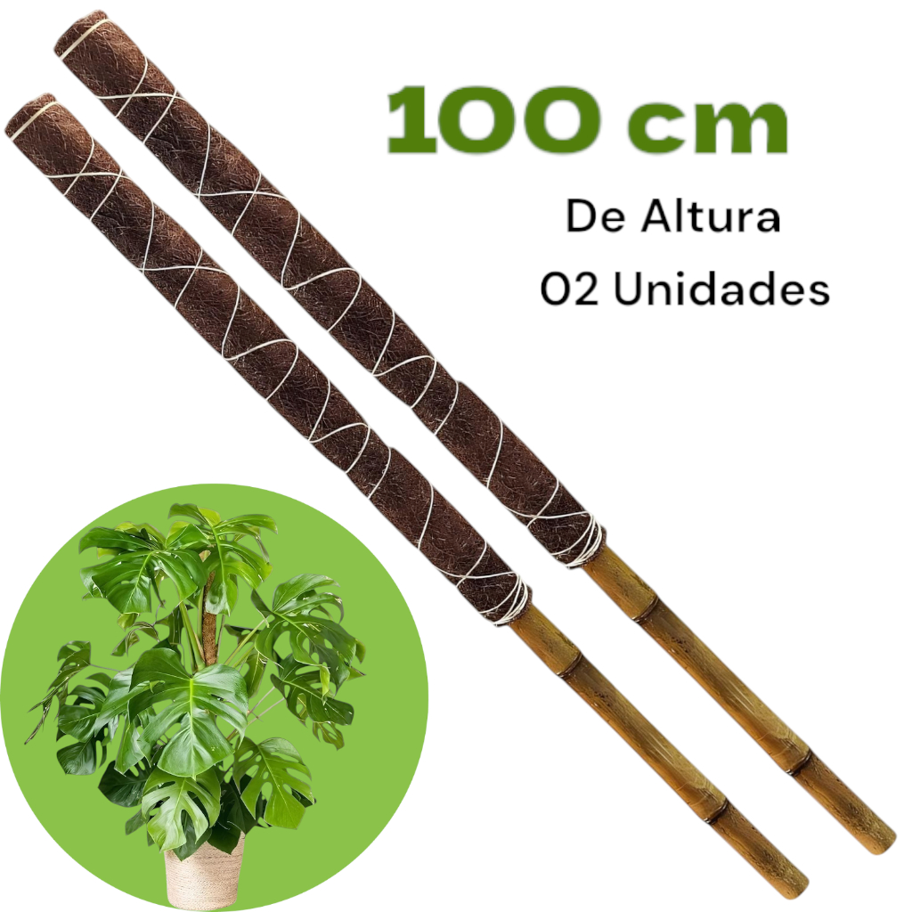 Kit 2 Tutor 100 Cm Planta Trepadeira Grande Estaca Natural Jiboia Costela de Adão em Oferta na Shopee