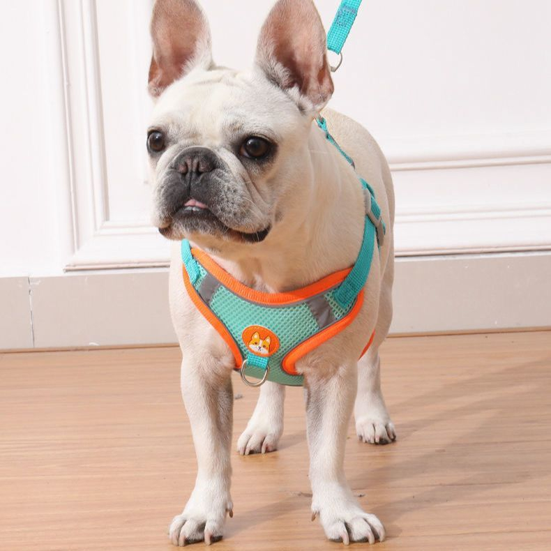 Coleira Para Cachorro Gato Peitoral, Conjunto De Guia + Coleira Tipo Colete Para Pet Pequenos E Médios em Oferta na Shopee