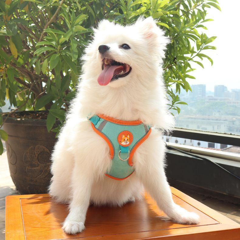 Coleira Para Cachorro Gato Peitoral, Conjunto De Guia + Coleira Tipo Colete Para Pet Pequenos E Médios