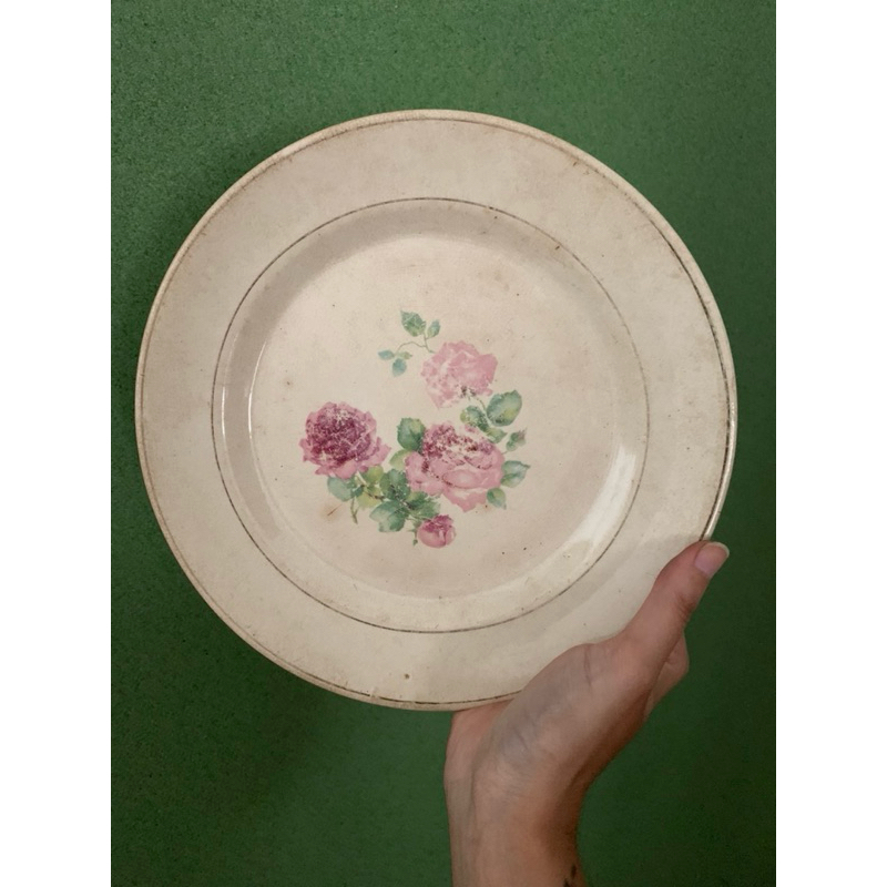 Pratos de Porcelana Antigo Vintage Floral Rosa Azul Decoração Decor Cozinha Parede Antiguidade Antiquario