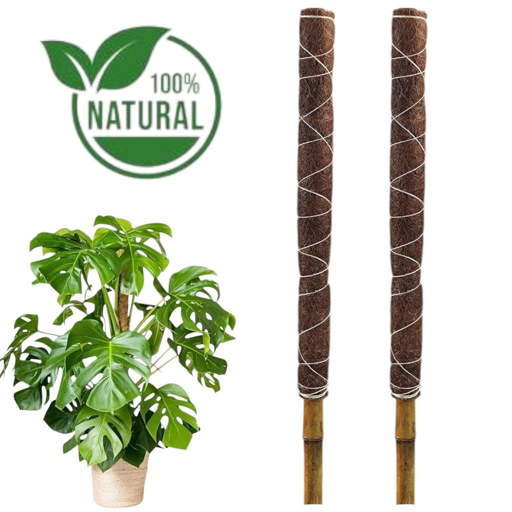 Kit 02 Tutor Planta Trepadeira Em Bambu E Fibra De Coco em Oferta na Shopee