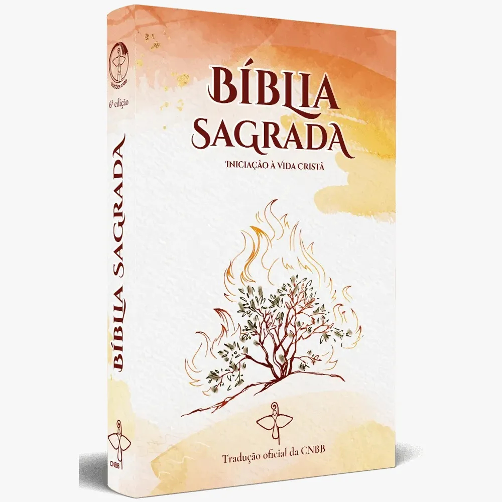 Livro  Bíblia Sagrada Iniciação à Vida Cristã - Religião e Filosofia