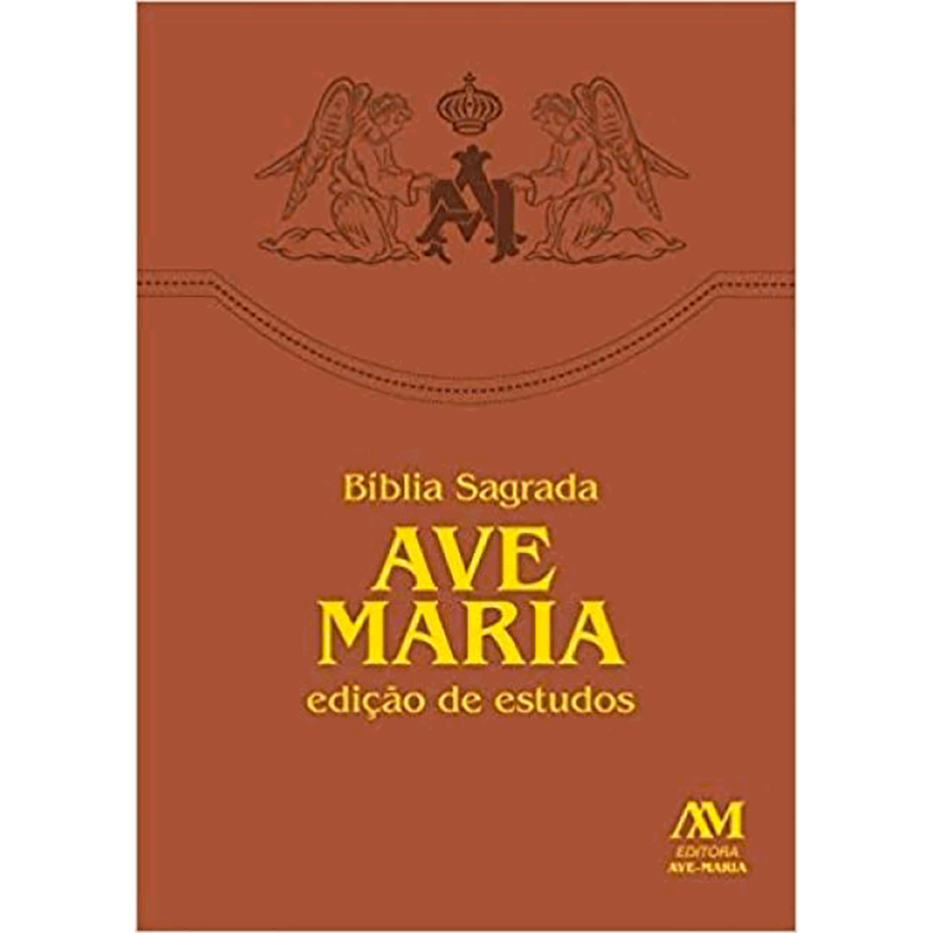 Livro Bíblia Sagrada Ave Maria - Religião e Filosofia