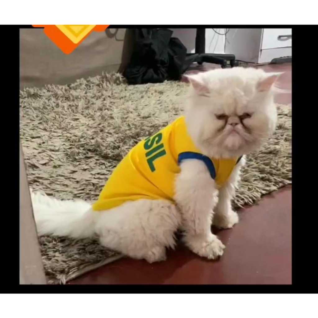 Roupa Pet Brasil Copa 2026 Suéter Verão para Cachorro e Gato Fantasia Copa Estampas Variadas em Oferta na Shopee