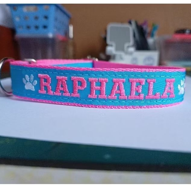 Coleira bordada de identificação cachorro em Oferta na Shopee