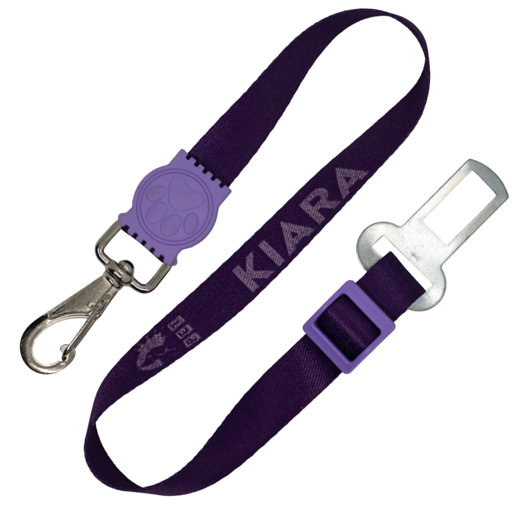 cinto segurança com nome para cachorro e gato ajustável em Oferta na Shopee