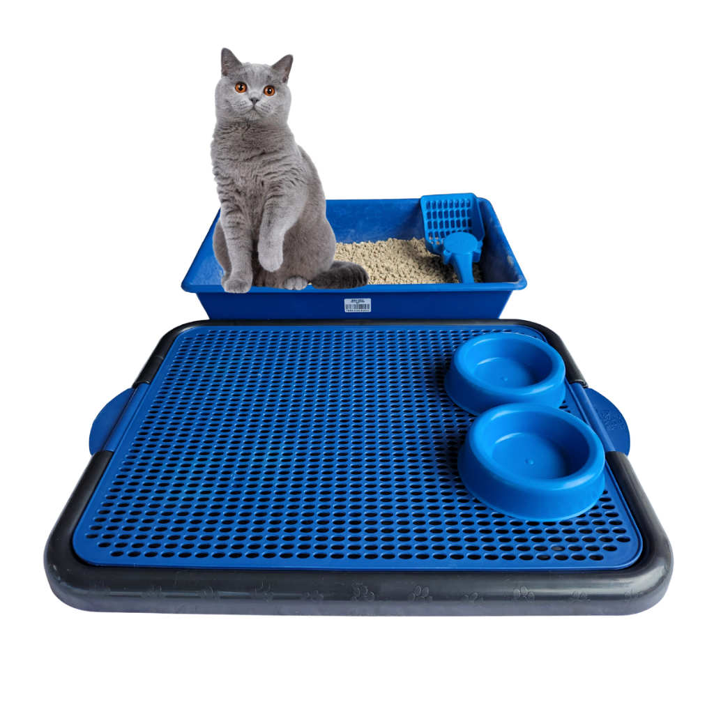 Banheiro de Gato Caixa de Areia Sanitário Higiênico Kit Com Tapete Comedouro e Bebedouro 5 em 1