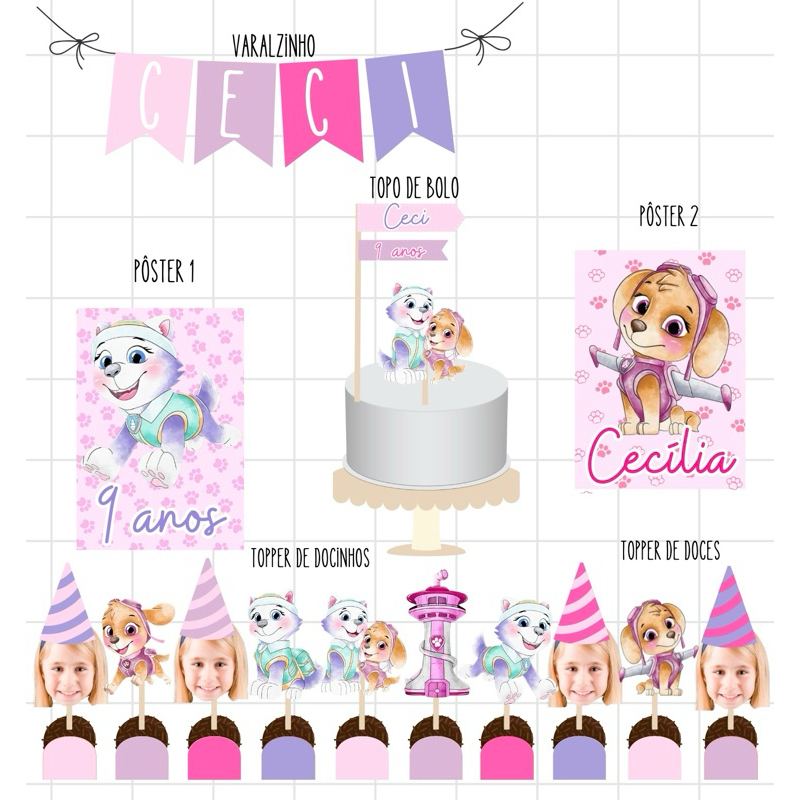 Kit só um bolinho - Patrulha Canina menina/Skye/Everest
