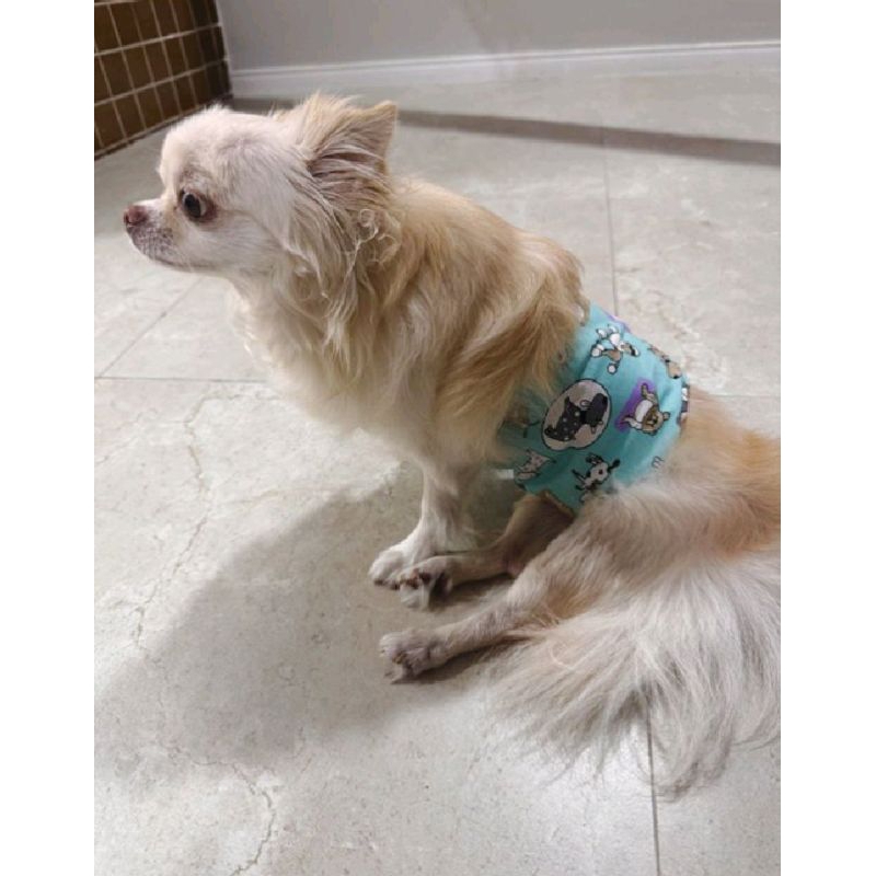 Kit 3 Fraldas p/ Cães Reutilizáveis Fralda Lavável Ecológica Cachorro Macho 3 peças — imagem 2 de 2
