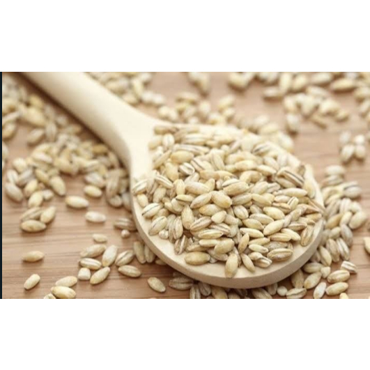 Cevada Em Grão Premium  (Cevadinha) em Oferta na Shopee