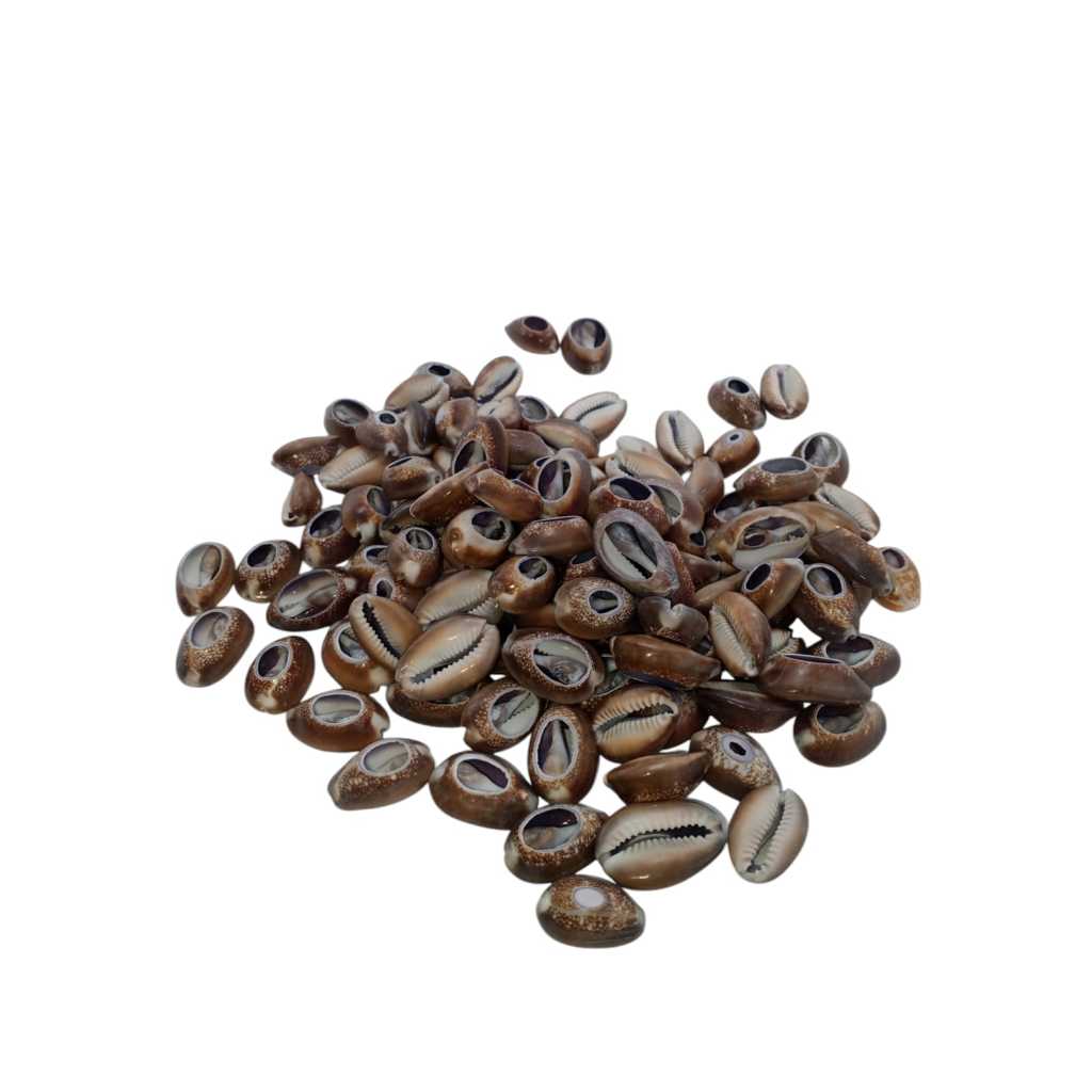 Buzios Africanos Abertos: Onde Comprar | BuscaProdutos