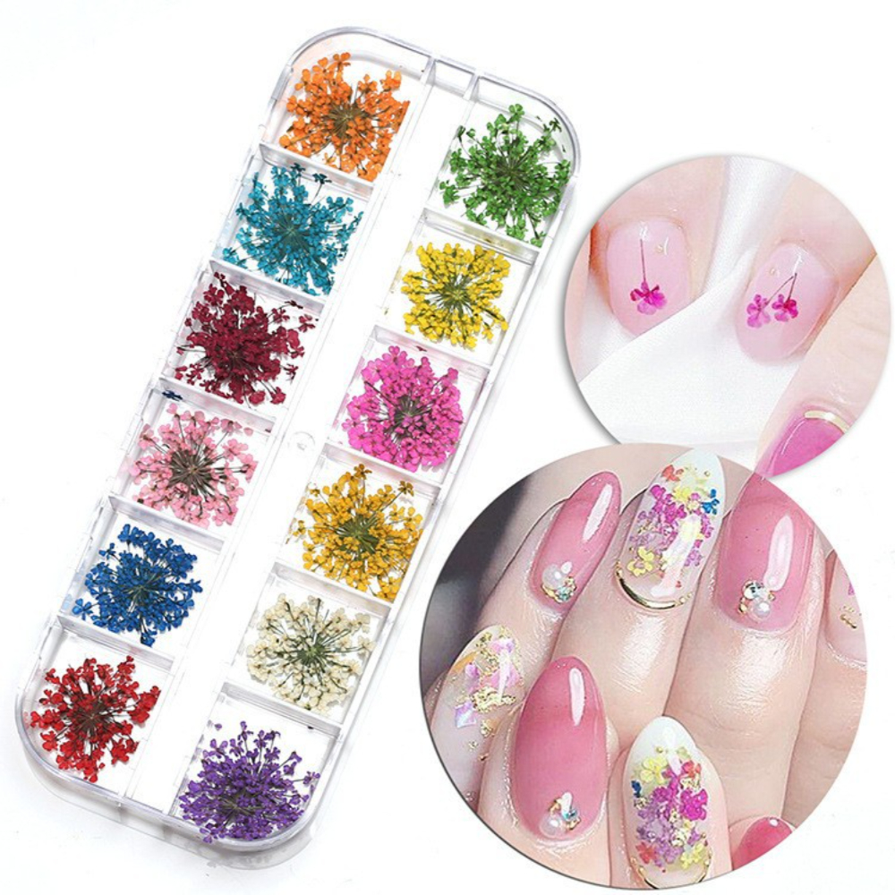 Caixinha com 12/24/36 Flores Secas Encapsulamento Decoração Unhas De Gel em Oferta na Shopee