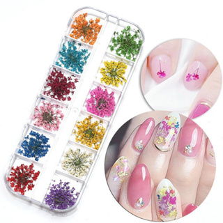 Caixinha com 12/24/36 Flores Secas Encapsulamento Decoração Unhas De Gel em Oferta na Shopee