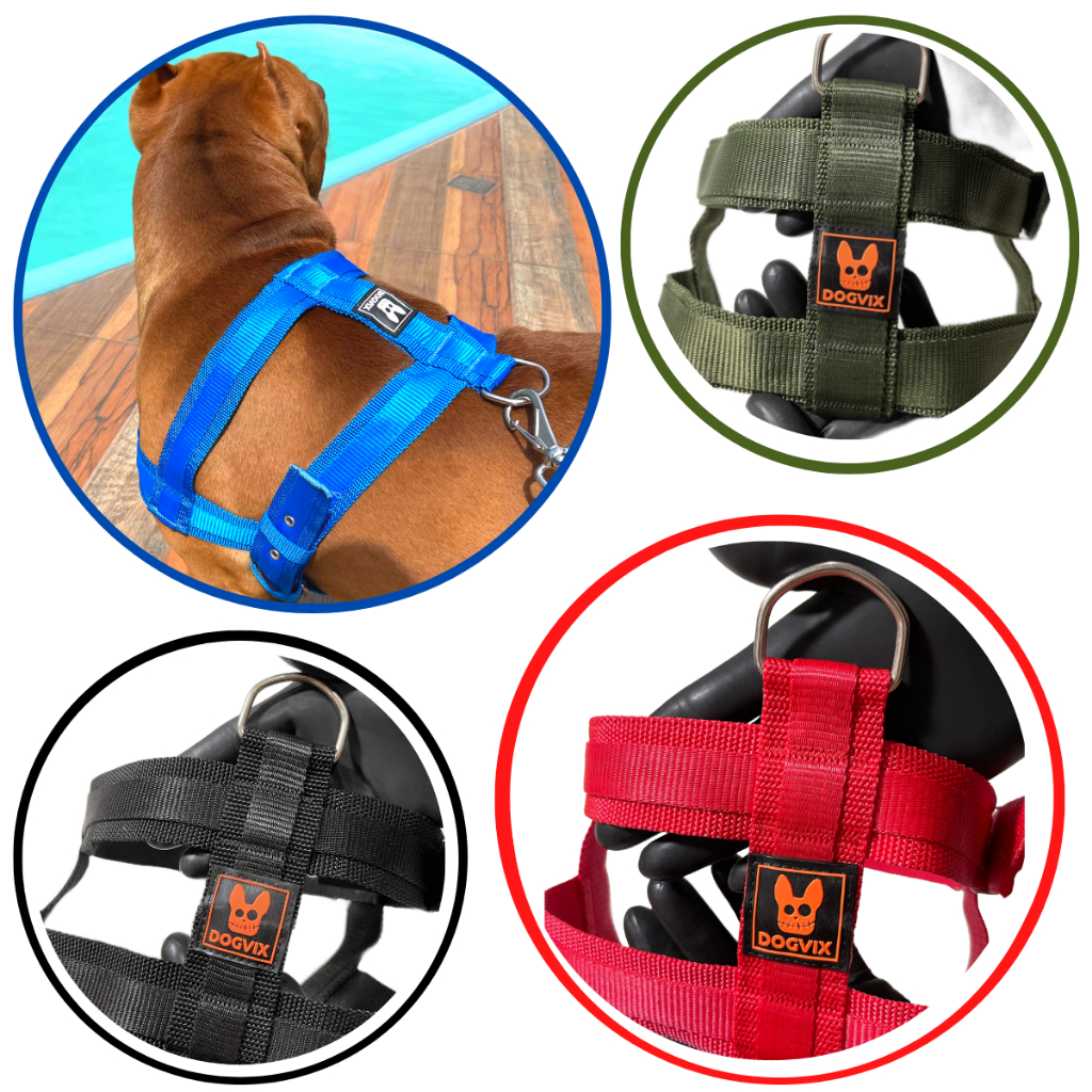 Peitoral Coleira + Guia Para Cachorro Resistente Seguro Confortável - BRUTUS PET