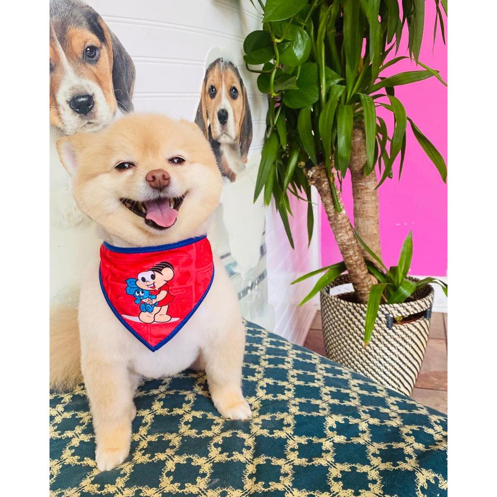 100 Bandanas Tamanho P M, 50 P, 50 M, Com Viés Estampas Variadas Pet Shop