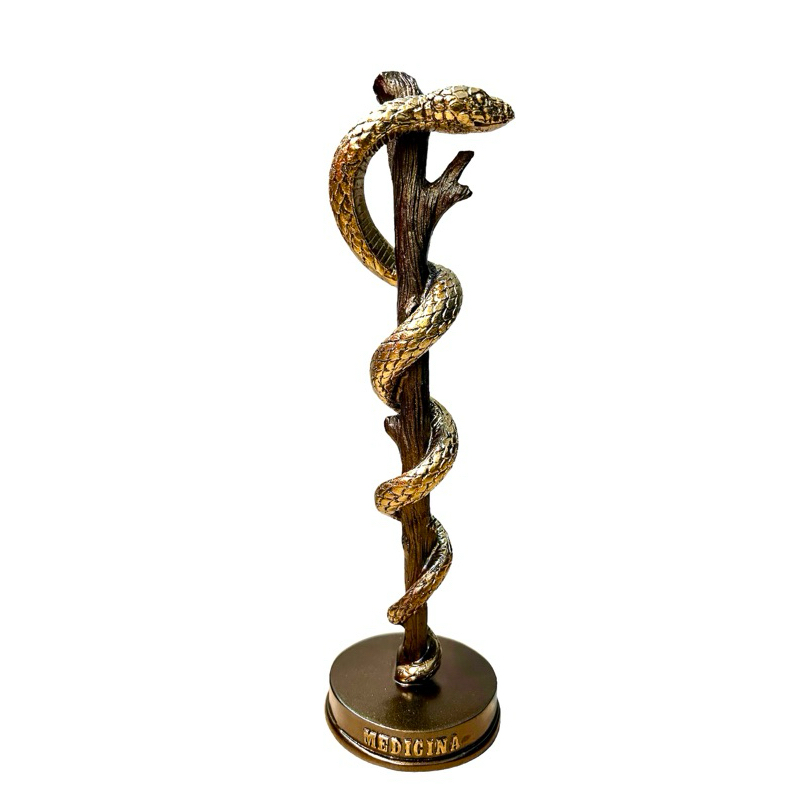 Estatueta de Medicina Escultura Médico Presente Formatura Medicina de 26 cm
