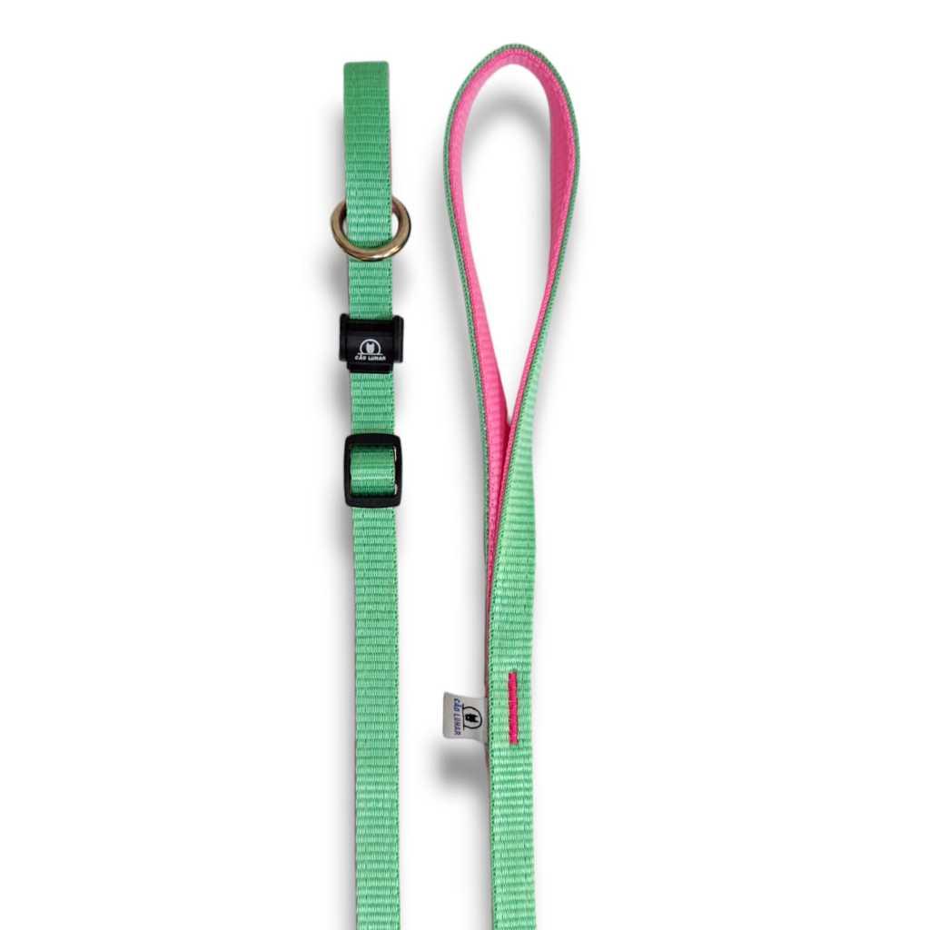 Guia Unificada para adestramento de cães, anti puxão, com regulador. para todas as raças e portes. Multicolor/Cão Lunar.