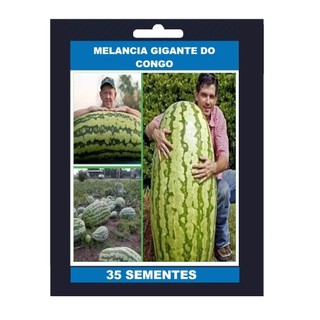 35 Sementes Melancia Gigante do Congo