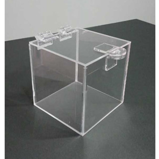 CAIXA EM ACRILICO 2MM 10X10X10CM em Oferta na Shopee